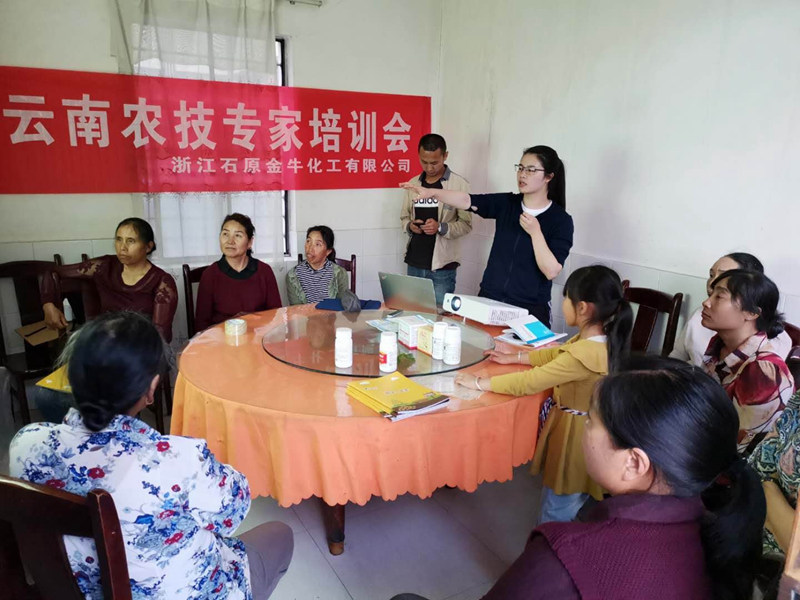 腳踏實(shí)地做推廣 持之以恒出業(yè)績(jī) &mdash;&mdash;記石原金牛業(yè)務(wù)骨干項(xiàng)仰仰