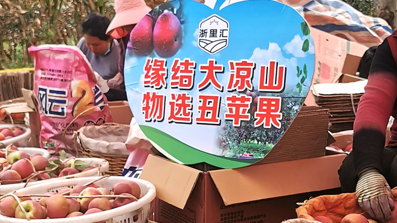 1666748871105003.jpg a1_副本.jpg