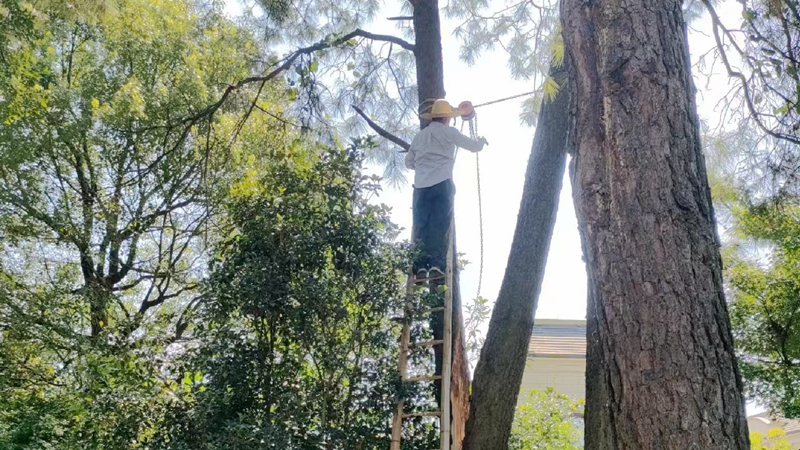 共同守護(hù)一片綠 從安吉華都到華悅物業(yè)的&ldquo;綠色接力&rdquo;