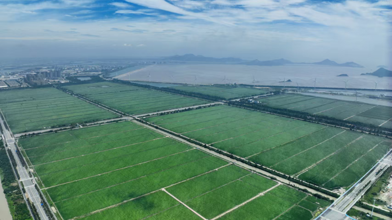 浙農助力臺州農業新飛躍 打造現代農業服務新標桿