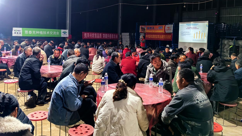 愛普科技在河南中牟舉辦草莓種植技術培訓會