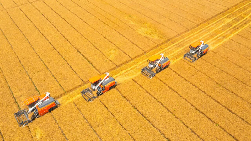 浙農股份多家成員企業入選供銷合作社骨干龍頭企業培育名錄