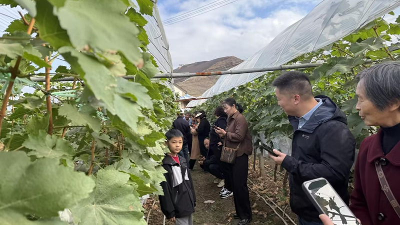 愛普科技組織開展農(nóng)業(yè)游學(xué)交流活動(dòng)