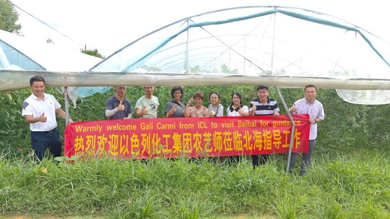 時令瓜果正當季 技術服務到田間&mdash;&mdash;愛普科技攜手以色列農藝師助力瓜農穩(wěn)產增收